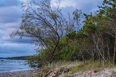 Aliou Drame在巴黎残奥会首轮比赛中以131-136不敌印度选手，巴黎残奥会奖牌榜