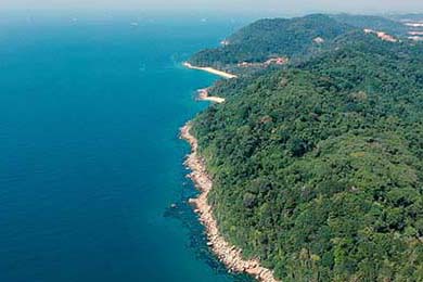 Aster数据统计领先联盟